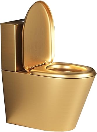 High Efficiency One Piece Toilet with Water Saving,304 Stainless Steel Commercial Toilet Bathroom Dual Flush Toilet,Toilet Bowl with Soft-Close Seat a,Gold-Floor Drainage