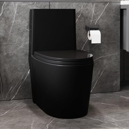 1.1/1.60 GPF Dual-Flush One Piece Toilet, Water-Saving Elongated Comfort Height Floor Mounted, Soft Close Seat, 1000 Gram Map Flushing Score Toilet, Matte Black 23T01-MB-1 (Black-1)
