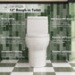 Deer Valley One Piece Toilet, DV-1F026 Elongated Toilet with Powerful Dual Flush 0.8/1.28 GPF, Soft-Close Seat, Standard Height, Easy-Clean Skirted Design, 12" Rough-In